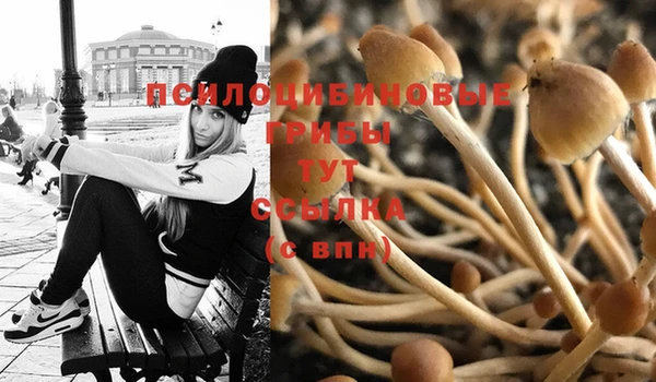 гашиш Волосово