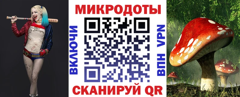 Псилоцибиновые грибы Cubensis  hydra ТОР  Приволжский 